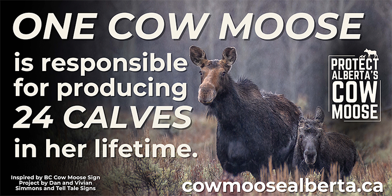 Sign Example for 36X48 and 48X96 sign dark