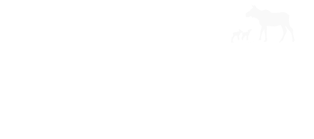 Protect Alberta's Cow Moose